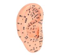 Hemobllo Modèle d'Oreille Humaine en PVC Compact Points d'Acupuncture Précis en Chinois, Outil Pédagogique Pratique pour Massage Auriculaire et Soins Oreilles en Médecine Traditionnelle