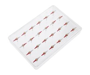 Hemobllo Modèle Moléculaire Magnétique Éducatif pour Étudiants Kit Boussole à Assembler Petite Taille 24 Aiguilles Magnétiques pour Collège Expérimentation Physique Scientifique