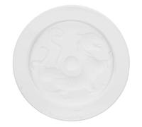 Hemobllo Moule en Plâtre pour Poterie Grand Format Outils Céramique Moulage de L’Argile Moule à Modeler Blanc Tiger pour Loisirs Créatifs et Façonnage Artisanal