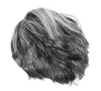 Hemobllo Perruque Grise Réaliste pour Homme et Femme Cosplay Accessoires Costume Halloween Perruque Courte Facile Entretien pour Fêtes et Spectacles