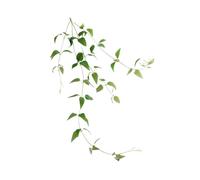 Hemobllo Plante Artificielle Clematis Décorative avec Vertes Réalistes Vigne Tombante avec Fils pour Décoration Intérieure et Extérieure