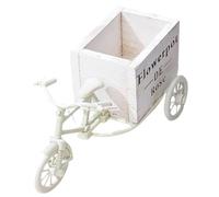 Hemobllo Porte-Pot de Fleurs de Vélo Blanc, Support Décoratif Multi-usages pour Bureau et Maison, Seau à Fleurs et Rangement Stylos, Décoration Mariage et Centre de Table, 1 Pièce