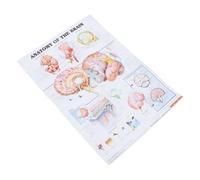 Hemobllo Poster Anatomique Cerveau sur Toile sans Cadre Tableau Éducatif pour École Laboratoire et Bureau Support Pédagogique Détaillé pour Débutants et Professionnels