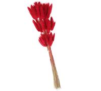 Hemobllo Queues de Lapin Séchées Naturelles 60 Pièces, Herbe Séchée Décorative Rouge Foncé pour Mariage, Bouquet et Composition de Fleur, Décoration Maison et Fête, Accessoire DIY