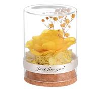 Hemobllo Rose Éternelle sous Cloche Verre Créative Décoration Romantique pour Saint-Valentin Cadeau Spécial pour Maison et Bureau Ornement Chaleureux pour Fête des Mères et Anniversaires