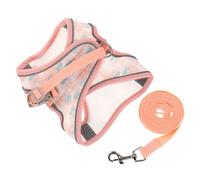 Hemobllo Set Harnais et Laisse pour Chien Harnais et Respirant Design Flexible et Confortable pour Promenade Extérieur