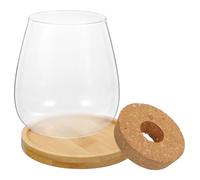 Hemobllo Set Vase Verre Transparent pour Succulentes Multifonctionnel Support Décoratif pour Fleurs Bougie Flottante Et Plante Hydroponique Ornement Naturel pour Bureau Et Maison