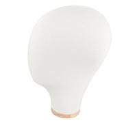 Hemobllo Support Mannequin Tête pour Perruques et Chapeaux Étagère Pratique pour Affichage et Séchage pour Création et Styling de Perruques