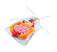 Hemobllo Tablier 3D Cognitif Garçon et Filles Jouet Pédagogique Viscères Humains Aide à l'enseignement Maternelle Apprentissage Pratique Activités Éducatives 1 Ensemble