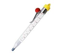 Hemobllo Thermomètre Stérilisateur Bocaux Conserves en Acier Inoxydable et Verre Trempé, Résistant Haute Température Clip Cuisine et Pâtisserie Couleur Aléatoire