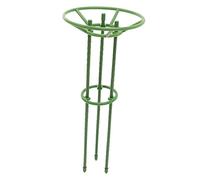HEMOTON 1 Ensemble Aire de Jeux pour Plantes avec Soutien des Stands soulevé Fleurs Escalade Plantes d'intérieur Cage de Tomate Cages à tomates pour Le Jardin Abdos Green