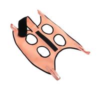 HEMOTON 1 Ensemble De Hamac De Toilettage pour Animaux De Compagnie Emmaillotage pour Chat pour La Coupe des Ongles Hamacs pour Animaux De Compagnie Peignes pour Chiens pour Le