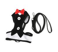 HEMOTON 1 Ensemble Harnais pour Chien et Chat avec Laisse Kit de Promenade et Entraînement pour Chiens Petits Confortable et Respirant Noir