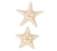HEMOTON 2 Pièces Étoile de Mer Décorative Naturelle pour Aquarium, | Texture Naturelle, Forme Réaliste, Usage DIY Polyvalent, pour Bordures, Paquet et Scènes Miniatures