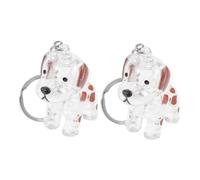 HEMOTON 2 pièces Porte-clés Commémoratif Chien Boîte Souvenir Poils Animaux Transparent Accessoire Portable pour Collection de Poils et Mémorial Compagnon