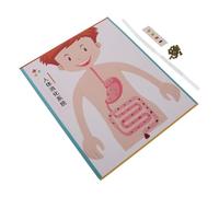 HEMOTON 4 Ensembles Modèles Digestifs DIY pour Garçon Fille Kit Éducatif Science Interactive pour Apprentissage Stem Jouets Créatifs Montessori pour École et Maison