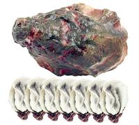 HEMOTON 8pièces Lot de Huîtres Artificielles Modèle De Faux Fruits De Mer Réaliste Accessoire De Nourriture pour Exposition