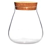 HEMOTON Bocal à épices en verre avec bouchon en liège - Pour terrarium, plantes succulentes, micro paysage, vase à bulle transparent pour bricolage, bricolage, bouteille de dérive (marron clair)