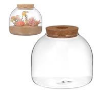 HEMOTON Bocal à Terrarium en Verre avec Bouchon en Bois pour Plantes Hydroponiques, Conteneur D'écosystème pour Création et Décoration de Micro-paysages