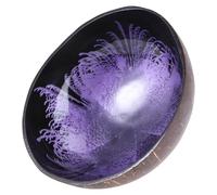 Hemoton Bol de Noix de Coco Naturel en Coquille de Noix de Coco Bol décoratif pour clés Boîte de Rangement pour Bonbons et Noix (Violet)