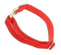 HEMOTON Collier pour Petit Animal avec Boucle Métallique Réglable Chaîne Simple pour Chien et Chat Décoration de Cou Adaptée Aux Shih Tzu et Races Moyennes