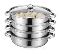 HEMOTON Cuiseur À Vapeur Inox 4L Faitout Vapeur Multi-Niveaux 27.5Cm Batterie De Cuisine Polyvalente Pour Cuisson Et Cuisiner À La Maison