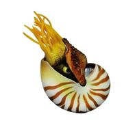 HEMOTON Décoration pour Aquarium Coquillages en Plastique, Simulation de Coquille Marine Créative et Matériau DIY, pour Art Work et Porche