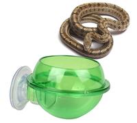 HEMOTON Distributeur Eau et Mangeoire pour Reptiles avec Ventouse Bol Abs pour Lézards Tortues et Petits Reptiles Alimentation Facile et Stable