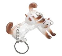 HEMOTON Lot de 2 Porte-clés Boîte Commémorative pour Poils de Chat Transparent de Chaton, Organisateur de Rangement Portable et Léger pour Souvenirs D’Animaux, Accessoire