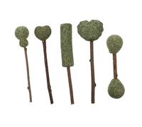 HEMOTON Lot de 5 Sucettes Comestibles à l'herbe à Chat Bâtonnets Naturels pour Friandises Digestives et Jouet Éducatif