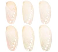 HEMOTON Lot de 6 Coquillages D’Ormeau Naturels 4-6 CM Décor en Coquille D’Ormeau pour Mariage Plage Artisanat en Coquillage D’Ormeau Décoration de Table et Ornement Naturel