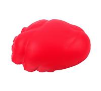 HEMOTON Modèle Dorgane Humain Réaliste - Parties du Corps pour Lenseignement Et La Simulation