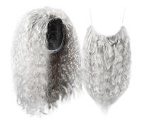 HEMOTON Postiche Grise Longue et Barbe de Magicien pour Costume Halloween, Ensemble Cosplay Léger et Respirant, Accessoire Déguisement Sorcier pour Adultes, Soirée Costumée et Carnaval