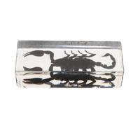 HEMOTON Résine Transparente Scorpion pour Cours de Sciences