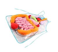 HEMOTON Tablier Anatomique 3D pour Garçon et Filles 60x44 Cm en Fibre Polyester, Modèle Pédagogique des Organes Internes du Corps Humain, Matériel Scolaire Sensoriel pour Apprentissage