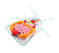 HEMOTON Tablier Éducatif Transparent Organes Corps Humain pour Garçon Fille Outil Cognitif pour Apprentissage Précoce Pédagogique Plastique et Coton pour Garçons et Filles