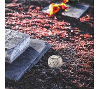 HEMOTON Urne Cinéraire Élégante pour Animaux Céramique avec Couvercle Dévissable pour Conservation des Cendres