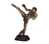 Henecka - Kampfsport Resin Skulptur - Kickboxen Judo, Karate, Jiu Jitsu, Muay Thai, Taekwondo, Wing Chun und weitere - Farbe Gold-Bronze