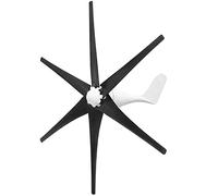 HENGJINGTR Kit d'éoliennes à axe Vertical 12V-220V, éolienne génératrice de 14 000W pour Maison et Camping (6 pales),24v