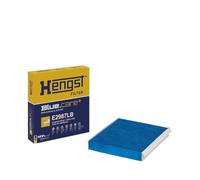 Hengst & Co Filtre d'habitacle (filtre à pollen) E2987LB