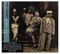 Henry, Joe - Tiny Voices