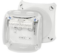 Hensel 62000004 Boîte de dérivation (L x l x H) 70 x 104 x 104 mm gris clair (RAL 7035) IP66 1 pc(s)