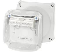 Hensel 62000007 Boîte de dérivation (L x l x H) 77 x 130 x 130 mm gris clair (RAL 7035) IP66 1 pc(s)