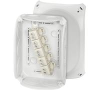 Hensel 62000010 Boîte de dérivation (L x l x H) 77 x 180 x 130 mm gris clair (RAL 7035) IP66 (étanchéite des platines frontales) 1 pc(s)