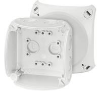 Hensel 62000041 Boîte de dérivation (L x l x H) 62 x 93 x 93 mm gris clair (RAL 7035) IP66, IP67, IP69 1 pc(s)