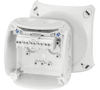 Hensel 62000043 Boîte de dérivation (L x l x H) 62 x 93 x 93 mm gris clair (RAL 7035) IP66, IP67, IP69 1 pc(s)