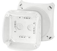 Hensel 62000045 Boîte de dérivation (L x l x H) 70 x 104 x 104 mm gris clair (RAL 7035) IP66, IP67, IP69 1 pc(s)