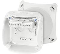 Hensel 62000049 Boîte de jonction sans halogène, plombable, résistant aux intempéries (L x l) 104 mm x 104 mm 1 pc(s)