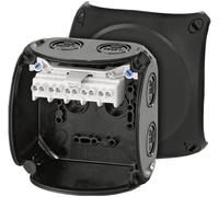 Hensel 62000050 Boîte de jonction sans halogène, plombable, résistant aux intempéries (L x l) 104 mm x 104 mm 1 pc(s)