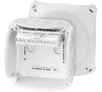 Hensel 62000055 Boîte de jonction sans halogène, plombable, résistant aux intempéries (L x l) 130 mm x 130 mm 1 pc(s)